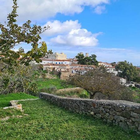 Villa Hidden Gem Of 1900, 7Km From Sea Potamos  Exterior foto