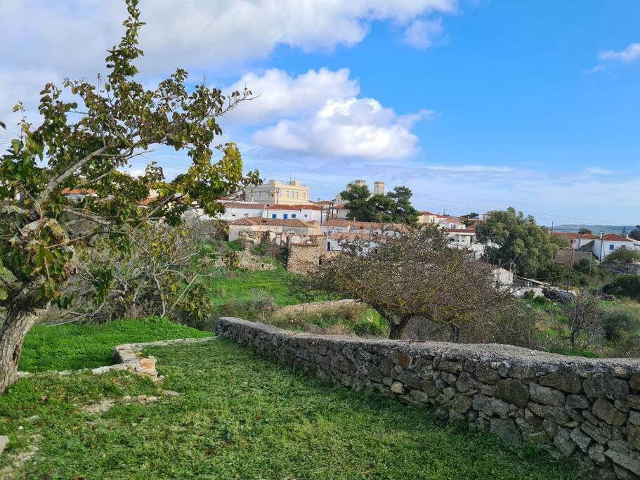 Villa Hidden Gem Of 1900, 7Km From Sea Potamos  Exterior foto
