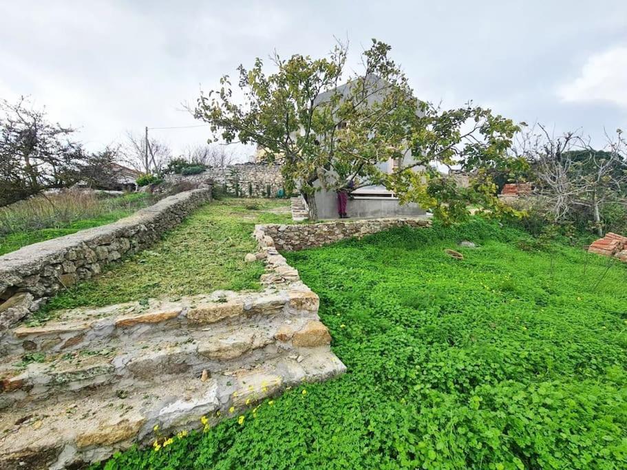 Villa Hidden Gem Of 1900, 7Km From Sea Potamos  Exterior foto